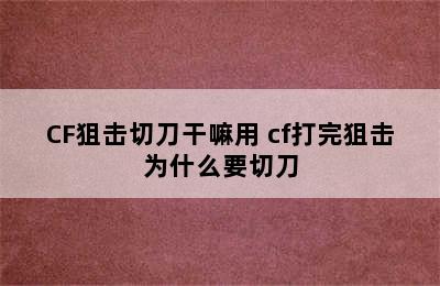 CF狙击切刀干嘛用 cf打完狙击为什么要切刀